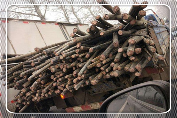 白云鄂博矿通讯馈线回收多少钱一米【冀同旺回收】