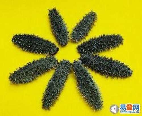 铁岭市回收散装海参回收礼盒海参-礼品海参海参