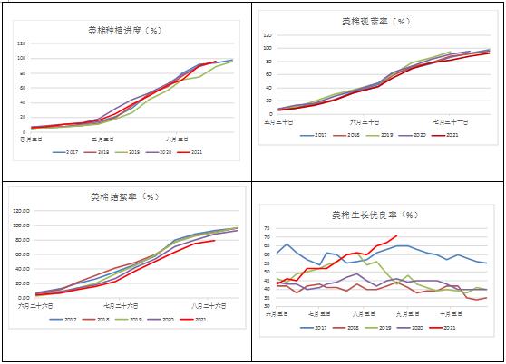 棉花：供需格局利好 价格重心将上移